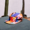 Burton Artist Series Hat Burton Artist Series Hat