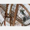 Burton Blossom Camber Snowboard