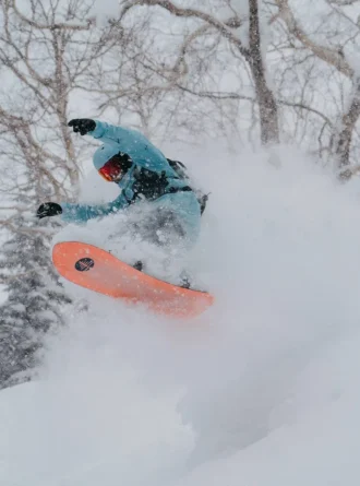 Burton Family Tree 3D Deep Daze Snowboard