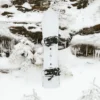 Burton Family Tree 3D Deep Daze Snowboard
