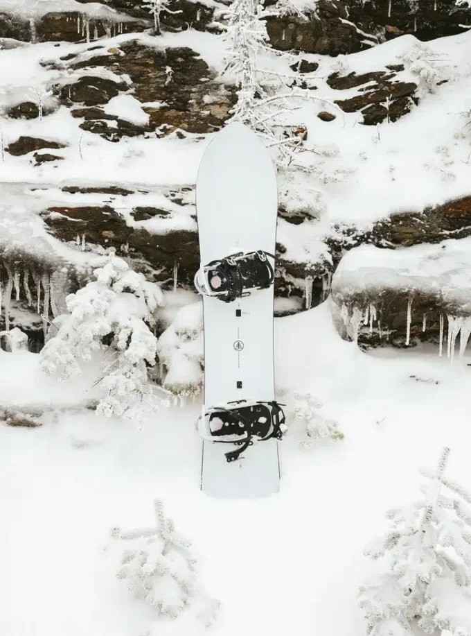 Burton Family Tree 3D Deep Daze Snowboard