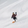 Burton Family Tree 3D Deep Daze Snowboard