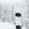 Burton Family Tree 3D Double Dog Camber Snowboard