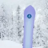 Burton Family Tree 3D Double Dog Camber Snowboard