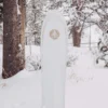 Burton Family Tree Backseat Driver Pow Surfing Snowboard