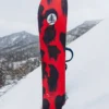 Burton Family Tree Hometown Hero Camber Snowboard