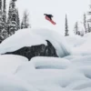 Burton Family Tree Hometown Hero Camber Snowboard