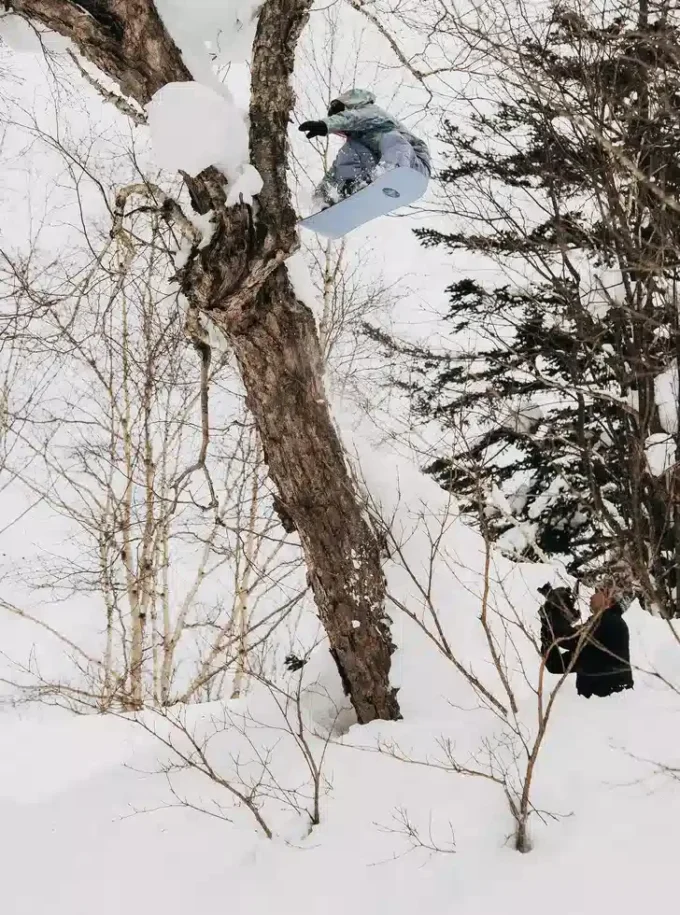 Burton Family Tree Hometown Hero Camber Snowboard