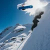 Burton Family Tree Hometown Hero Camber Snowboard