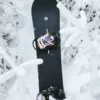 Burton Family Tree Mystery Juice Wagon Camber Snowboard
