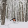 Burton Family Tree Resonator Pow Surfing Snowboard