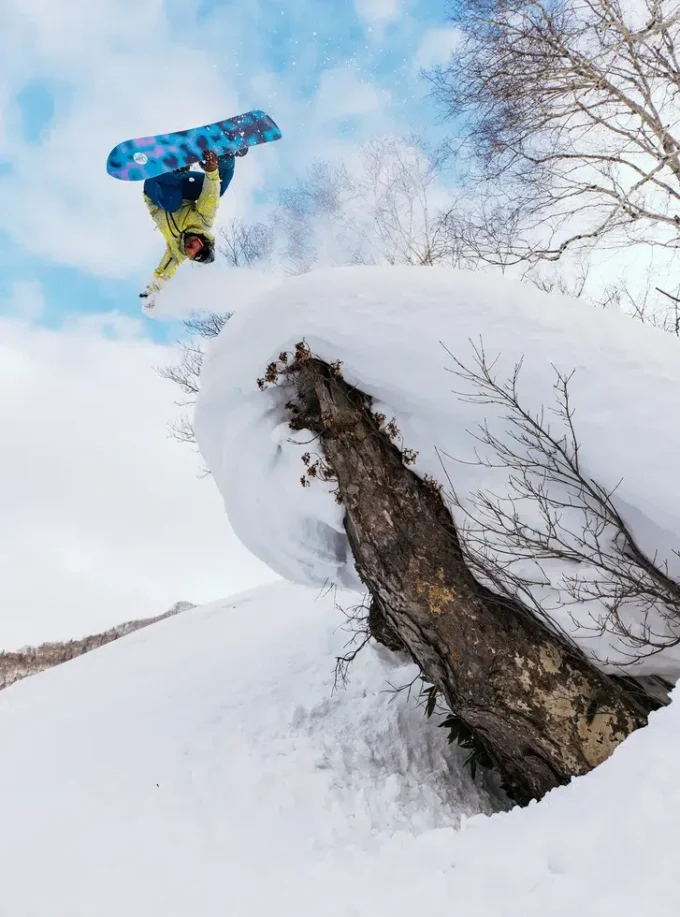Burton Family Tree Sketch Artist Camber Snowboard