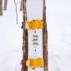 Men’s Burton Process Camber Snowboard