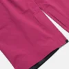 Women’s Burton Year of the Horse Cavalry 3L GORE-TEX Bib Pants