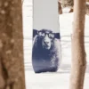 Women’s Burton Yeasayer Flying V Snowboard